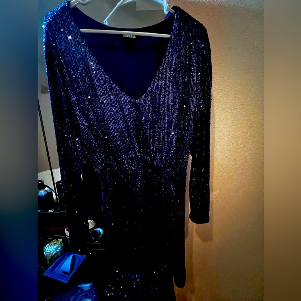 Purple sequin express dress